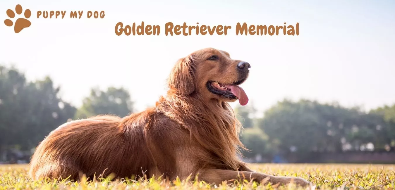 golden retriever memorial